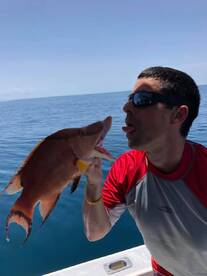 Clearwater Report Photo 1