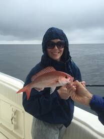 Destin Report Photo 1