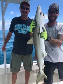 Clearwater Report Photo 1