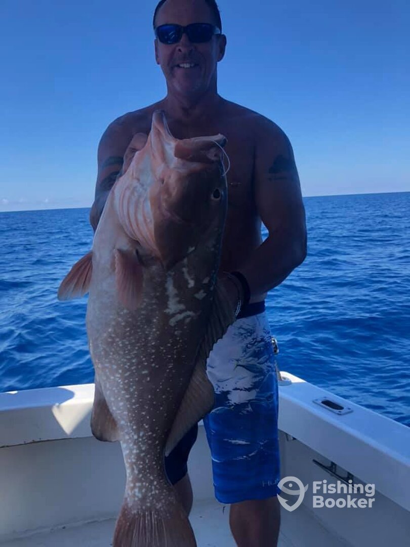 Clearwater Report Photo 0