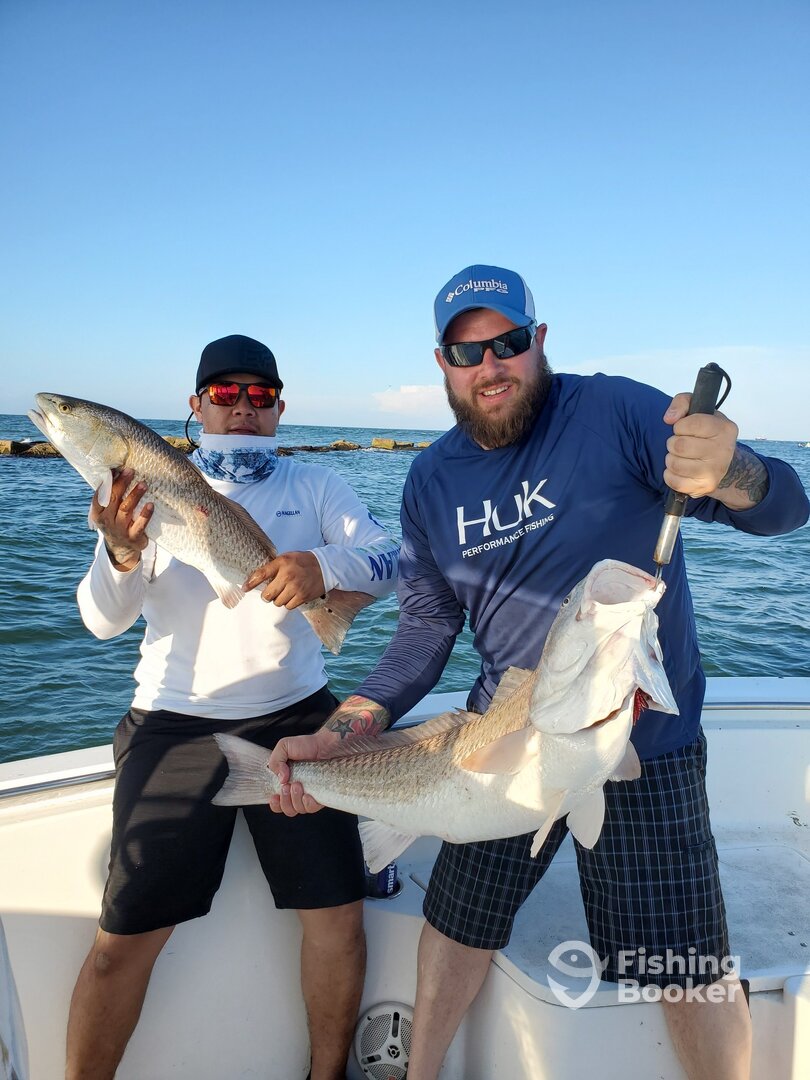 Galveston Report Photo 0