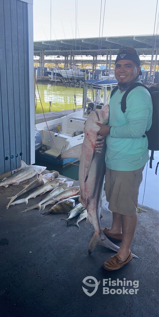 Galveston Report Photo 0