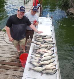 West Tawakoni Report Photo 1