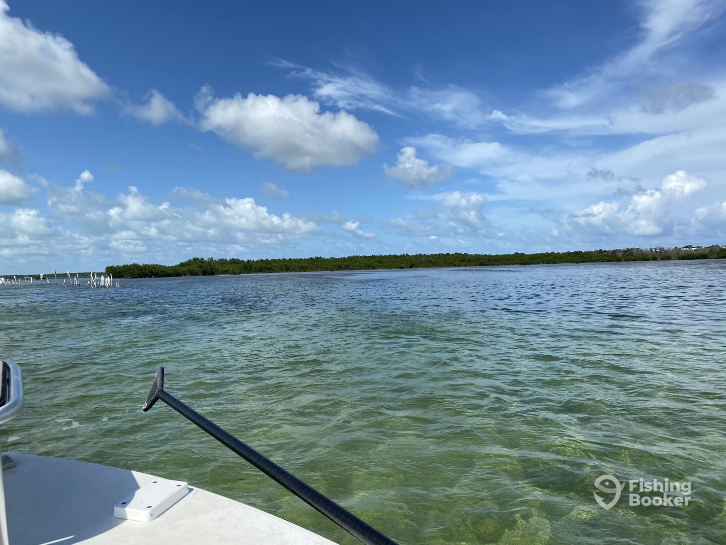 Islamorada Report Photo 0