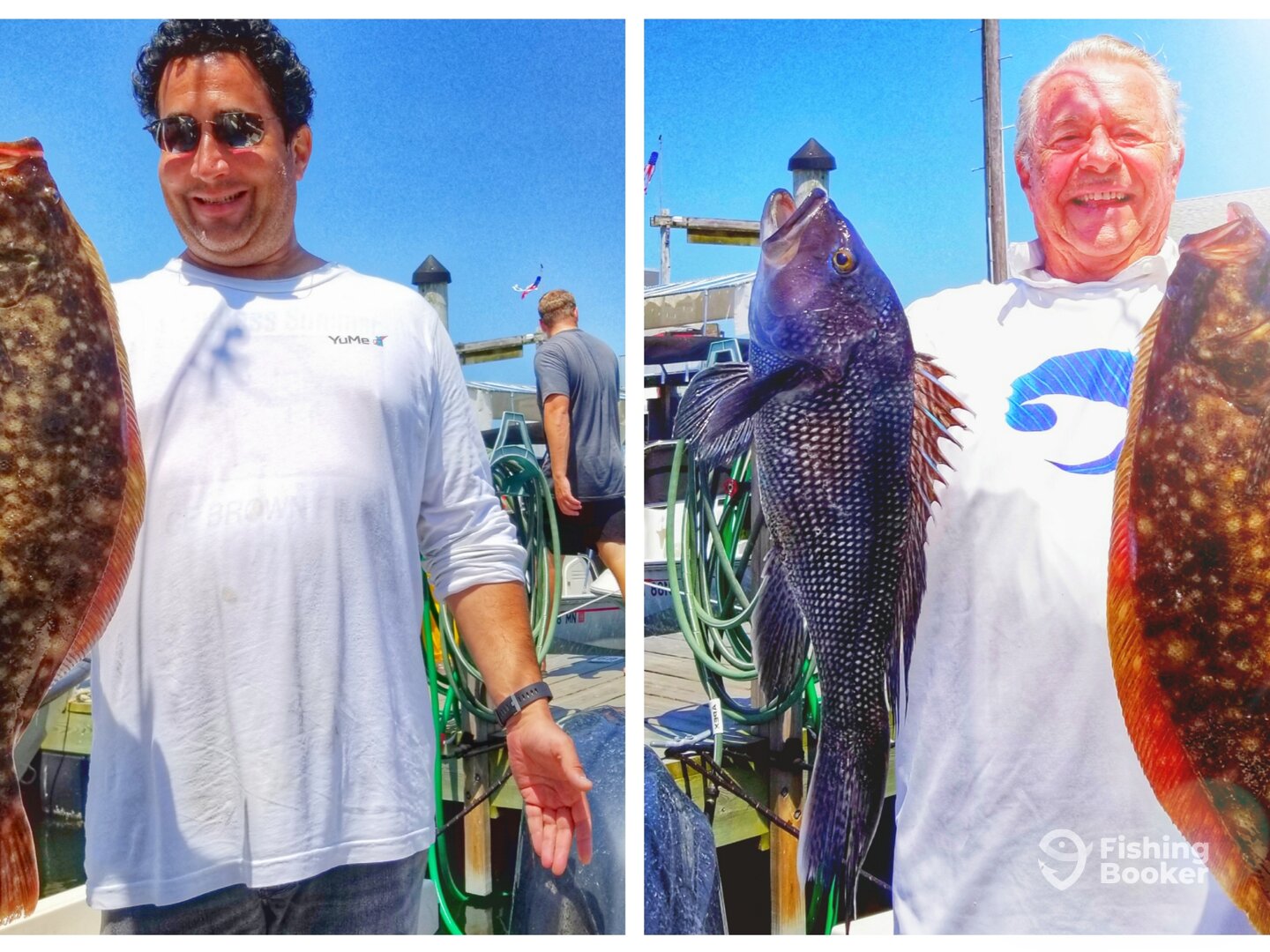 Great flukeing and seabass