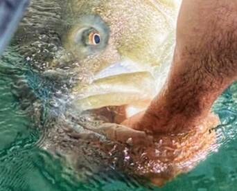 Lighttackle fishing at its best