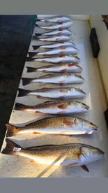 Port O'Connor Report Photo 1