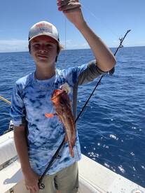 Jacksonville Report Photo 1