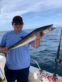 Kingfish bite is hot!