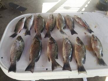 Grant-Valkaria Report Photo 2