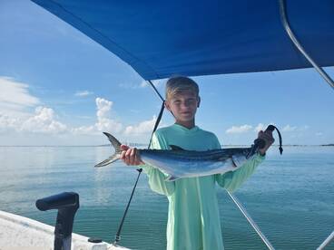 Gulfport Report Photo 2