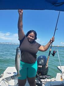 come catch shark! promise you will o