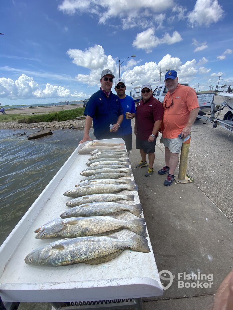 Texas City Report Photo 0