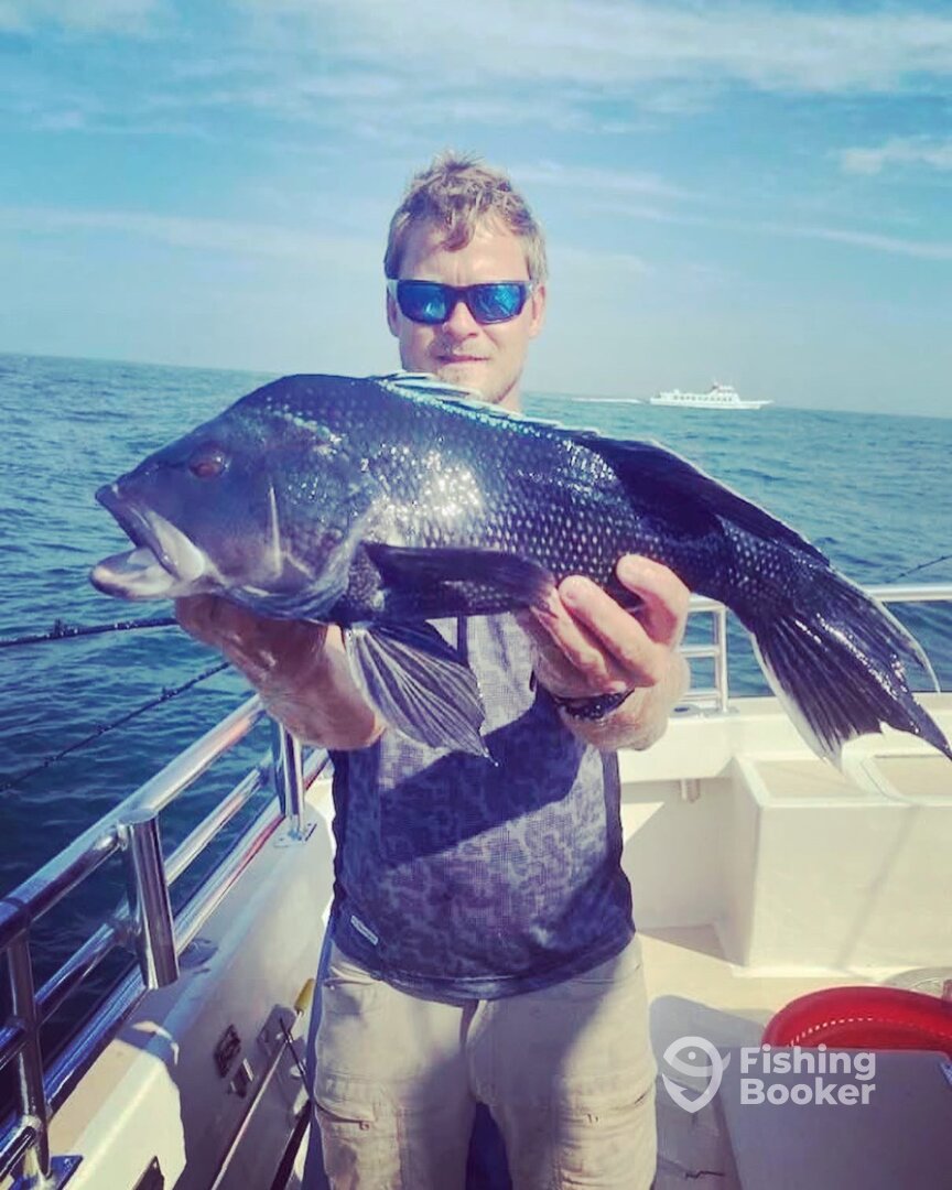 Montauk Report Photo 0