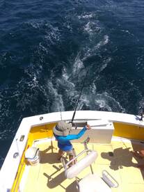 Wanchese Report Photo 2