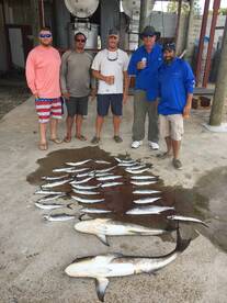 Poquoson Report Photo 2