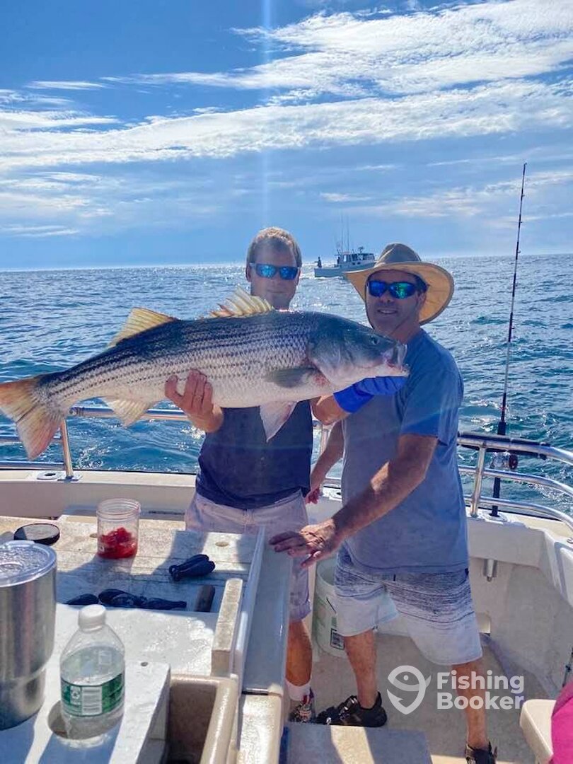 Montauk Report Photo 0