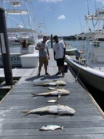 Virginia Beach Report Photo 1