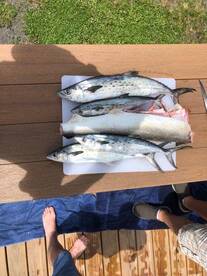 Prepping for a fresh dinner