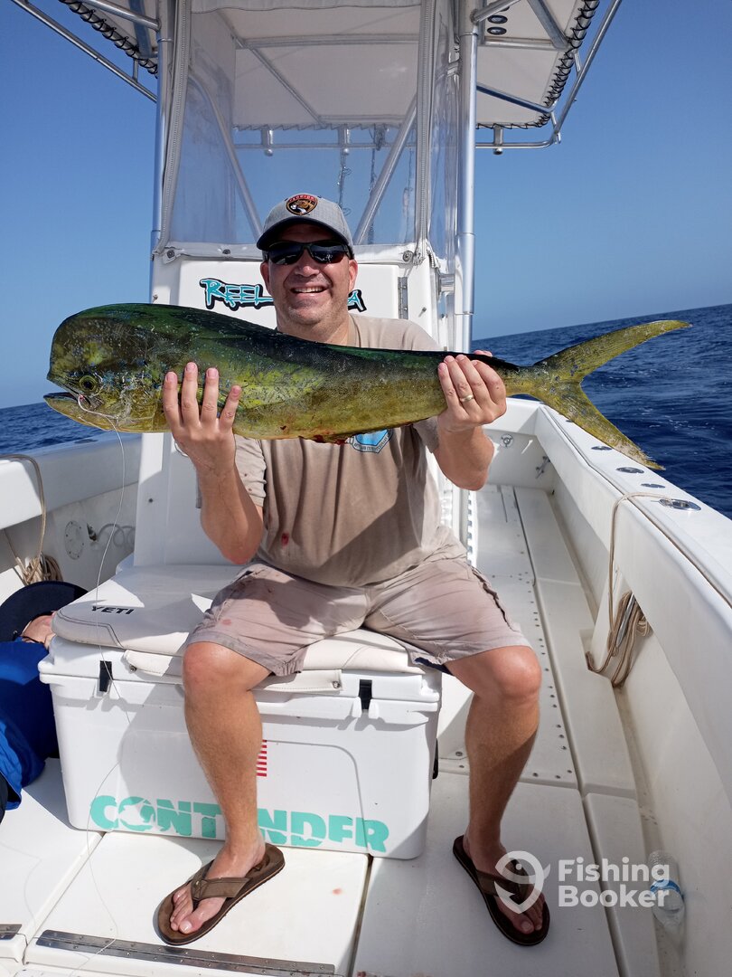 West Palm Beach Report Photo 0