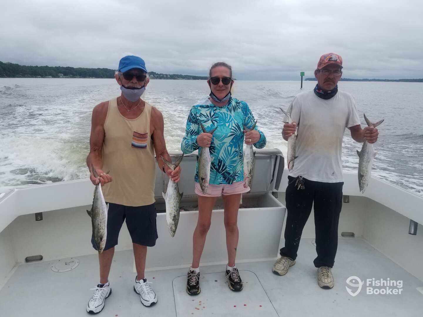 Solomons Report Photo 0
