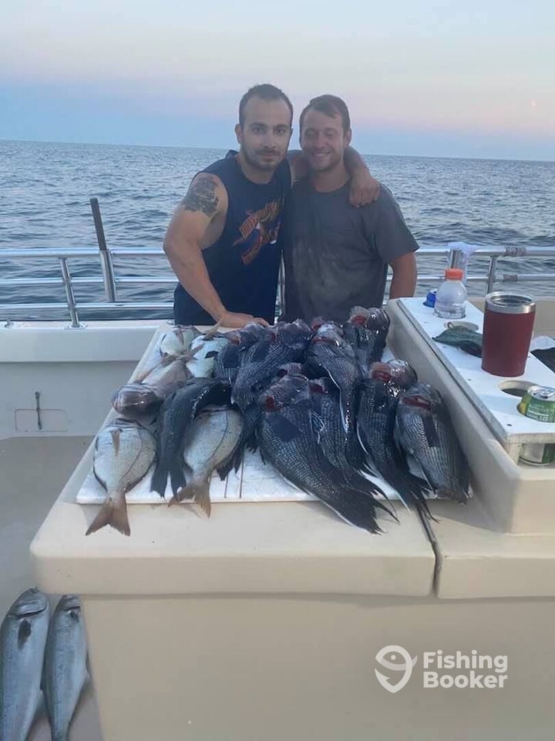 Montauk Report Photo 0