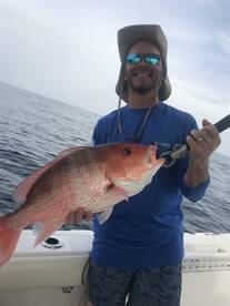 Belleair Bluffs Report Photo 1