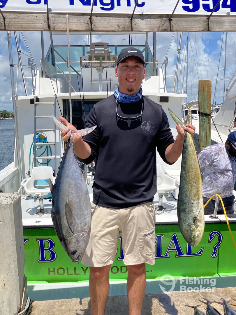 Dania Beach Report Photo 0