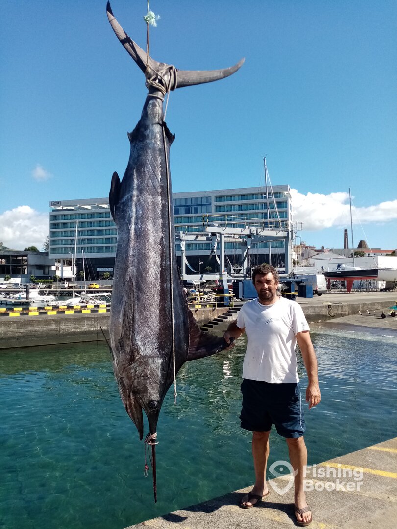 Ponta Delgada Report Photo 0