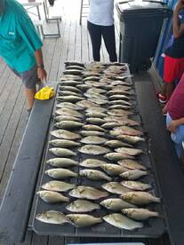 Brenham Report Photo 2