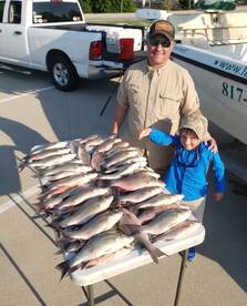 Lewisville Report Photo 2