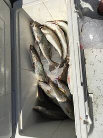 Port O'Connor Report Photo 2