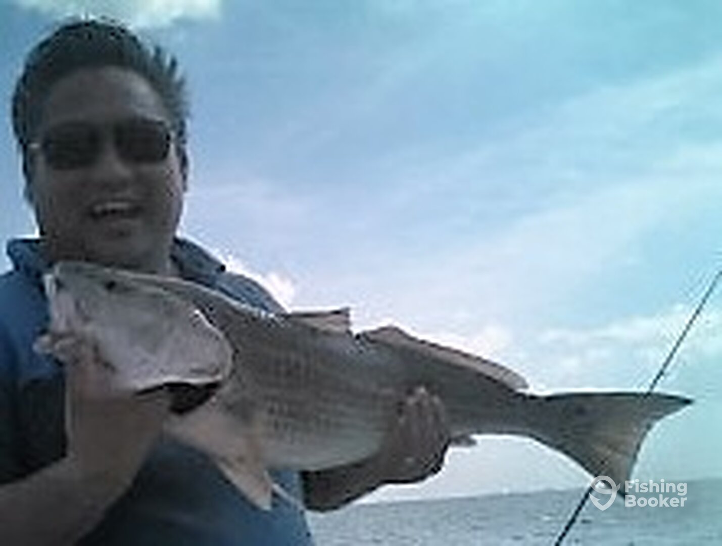 Tampa Report Photo 0