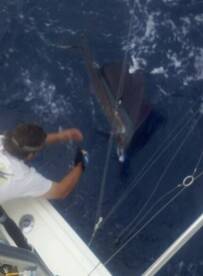 Fort Lauderdale Report Photo 2