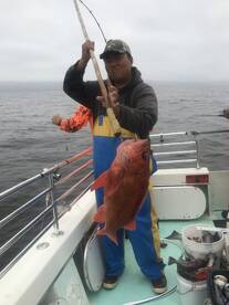 San Francisco Report Photo 1