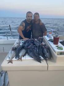 Montauk Report Photo 1