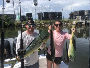 Dolphin Bite is solid