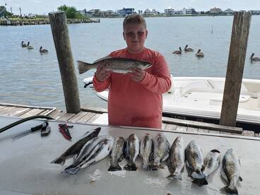 Galveston Report Photo 1