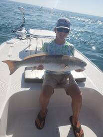 Ponce Inlet is Heating Up