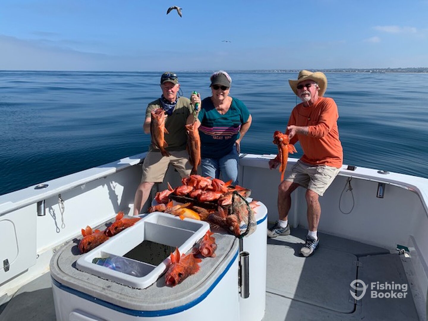 Oceanside Report Photo 0