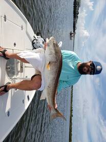 Port Orange Report Photo 1