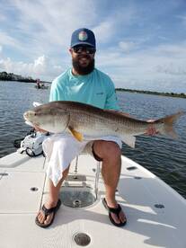 REDS!!!............Reds!!........Reds...