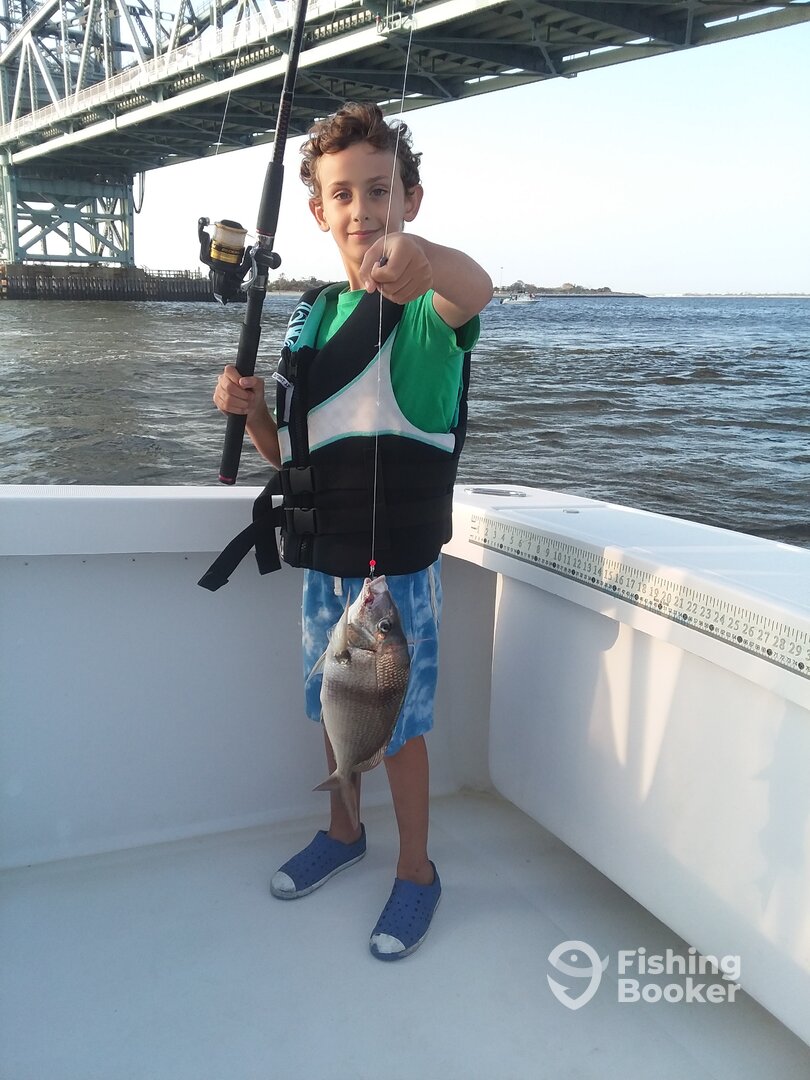 New York City Report Photo 0