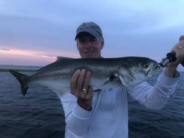 Beaufort Report Photo 1