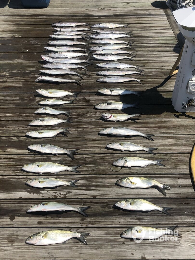 Ocean City Report Photo 0