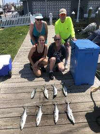 Ocean City Report Photo 2