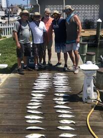 Ocean City Report Photo 1