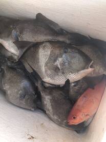 Why are you just looking?   BOOK IT !!! 