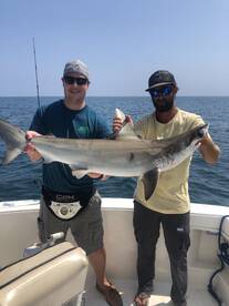 Ocean City Report Photo 1
