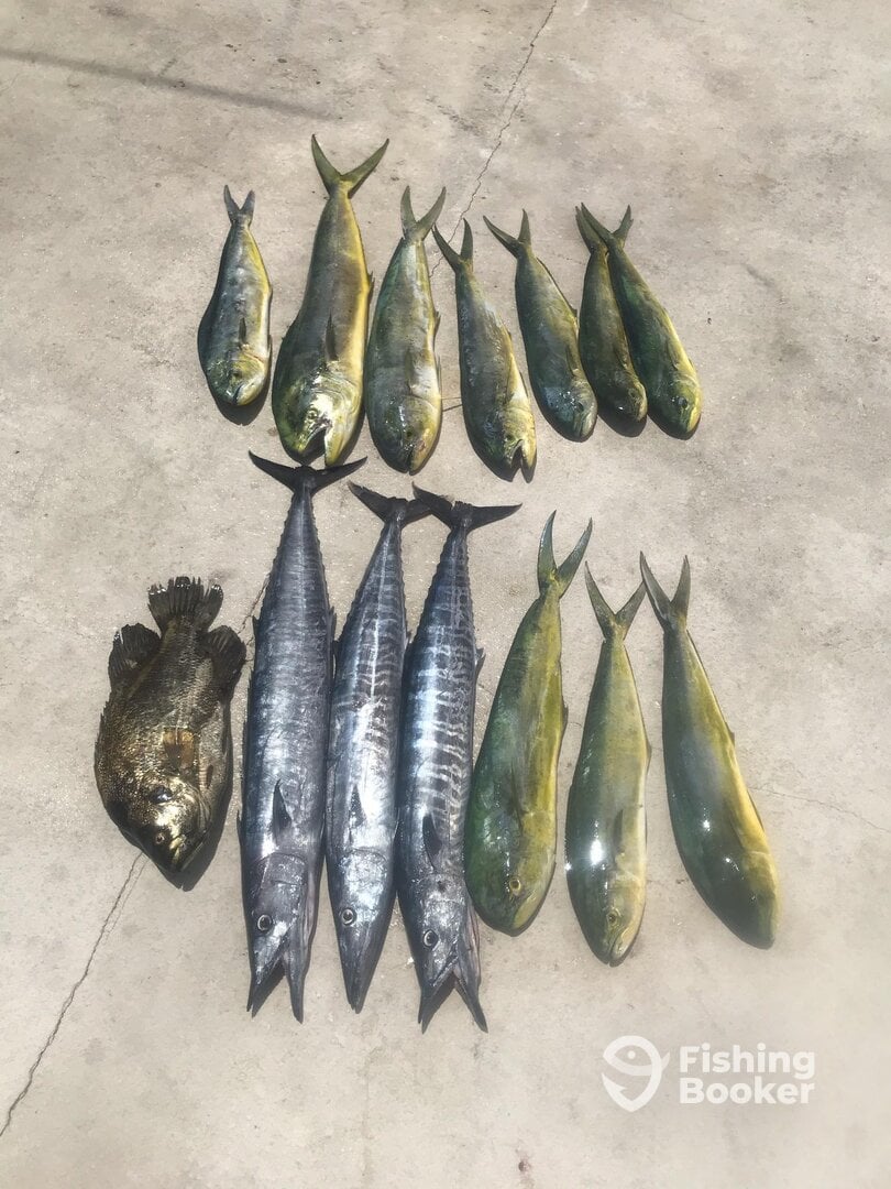 Key West Report Photo 0